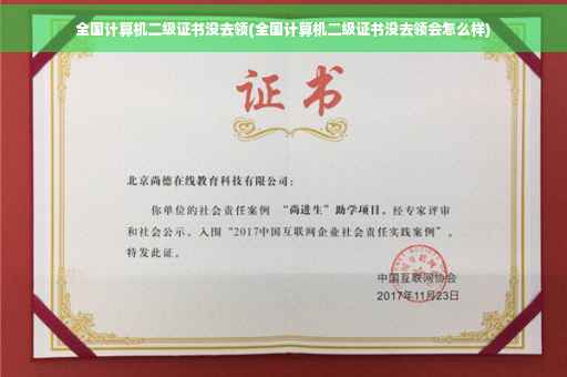 全国计算机二级证书没去领(全国计算机二级证书没去领会怎么样)