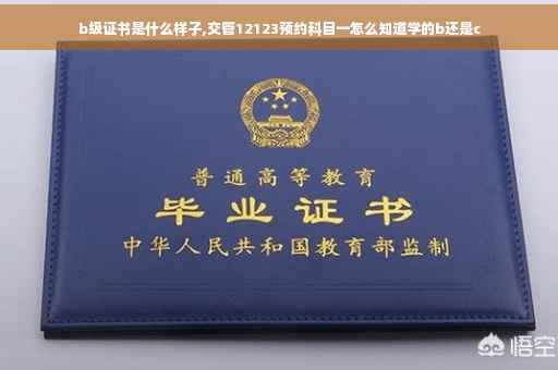 b级证书是什么样子,交管12123预约科目一怎么知道学的b还是c