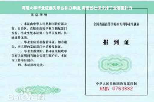 海南大学毕业证丢失怎么补办手续,海南省社保卡掉了去哪里补办