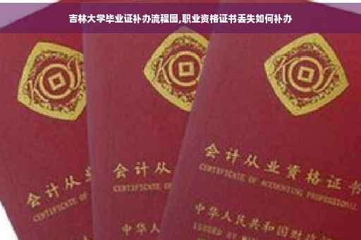 吉林大学毕业证补办流程图,职业资格证书丢失如何补办