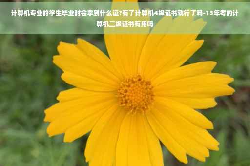 计算机专业的学生毕业时会拿到什么证?有了计算机4级证书就行了吗-13年考的计算机二级证书有用吗