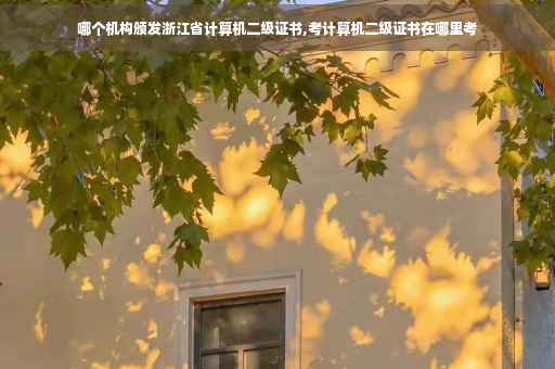 哪个机构颁发浙江省计算机二级证书,考计算机二级证书在哪里考