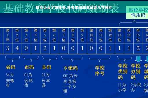 毕业证丢了咋补办,补办本科毕业证要几寸照片
