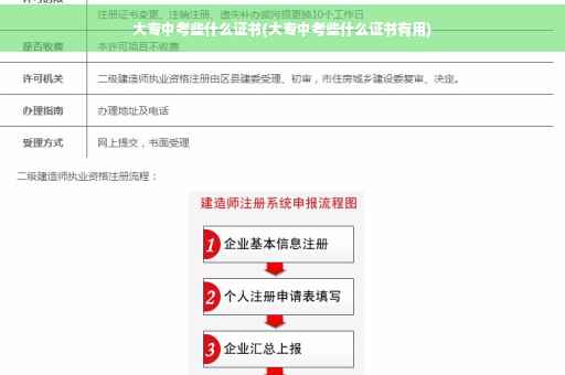 大专中考些什么证书(大专中考些什么证书有用)