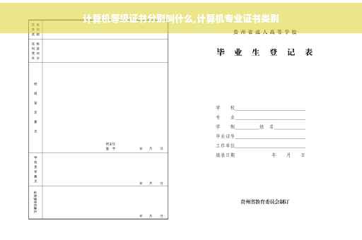 计算机等级证书分别叫什么,计算机专业证书类别