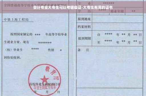 会计专业大专生可以考哪些证-大专生有用的证书
