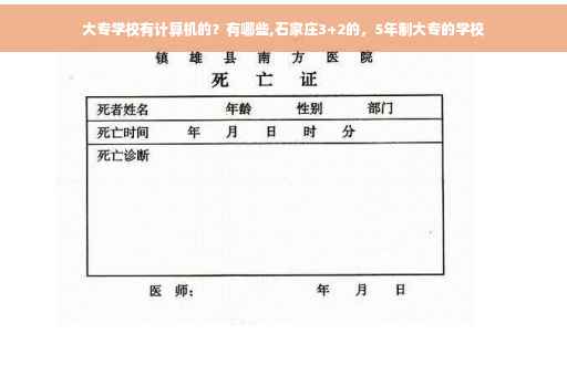大专学校有计算机的？有哪些,石家庄3+2的，5年制大专的学校