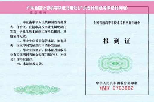 广东全国计算机等级证书用处(广东省计算机等级证书叫啥)