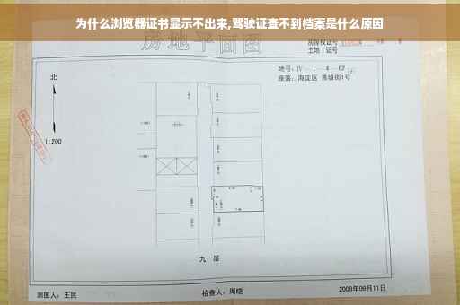 为什么浏览器证书显示不出来,驾驶证查不到档案是什么原因