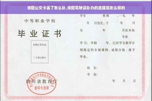 洛阳公交卡丢了怎么补,洛阳驾驶证补办的流程是怎么样的