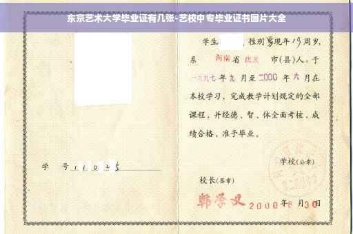 东京艺术大学毕业证有几张-艺校中专毕业证书图片大全