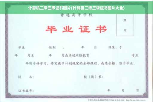 计算机二级三级证书图片(计算机二级三级证书图片大全)