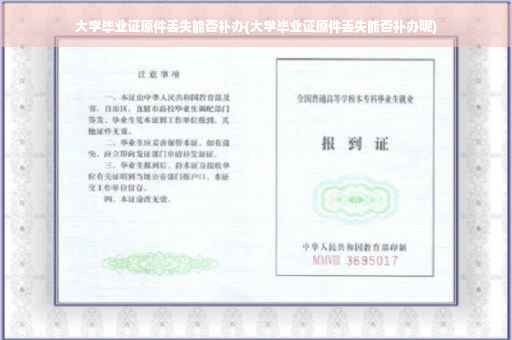 大学毕业证原件丢失能否补办(大学毕业证原件丢失能否补办呢)
