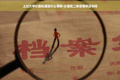 上过大学计算机课是什么等级-计算机二级是等级证书吗