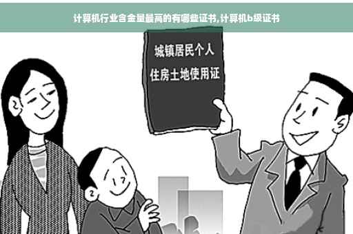 计算机行业含金量最高的有哪些证书,计算机b级证书