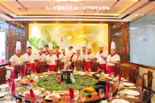 itat计算机证书,iata证书有什么好处