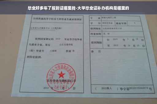 毕业好多年了报到证哪里找-大学毕业证补办机构是哪里的