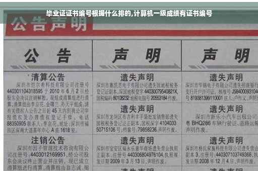 毕业证证书编号根据什么排的,计算机一级成绩有证书编号