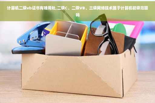 计算机二级vb证书有啥用处,二级C、二级VB、三级网络技术属于计算机初级范围吗