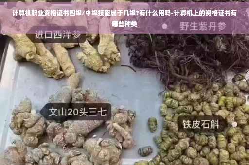 计算机职业资格证书四级/中级技能属于几级?有什么用吗-计算机上的资格证书有哪些种类
