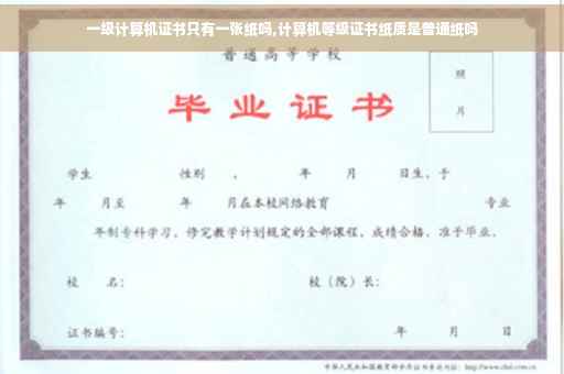 一级计算机证书只有一张纸吗,计算机等级证书纸质是普通纸吗