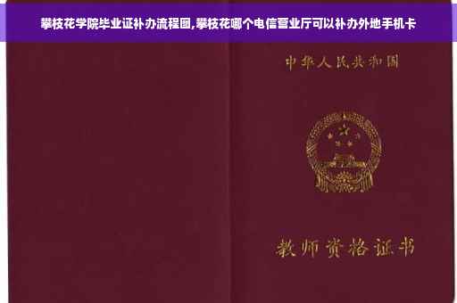 攀枝花学院毕业证补办流程图,攀枝花哪个电信营业厅可以补办外地手机卡