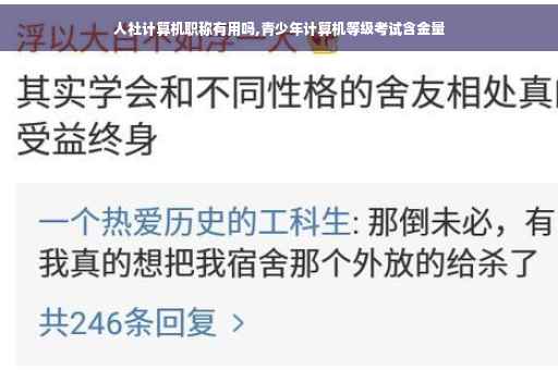 人社计算机职称有用吗,青少年计算机等级考试含金量