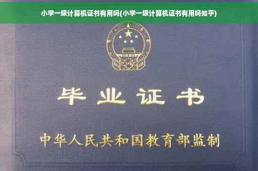 小学一级计算机证书有用吗(小学一级计算机证书有用吗知乎)