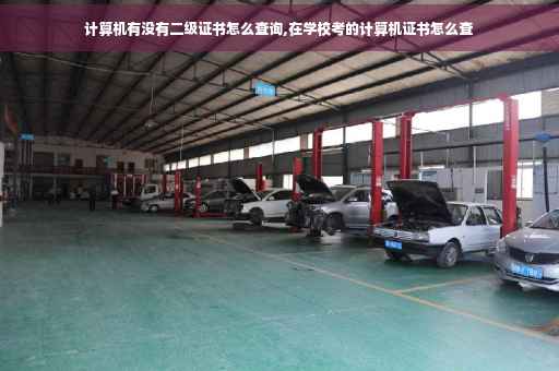 计算机有没有二级证书怎么查询,在学校考的计算机证书怎么查