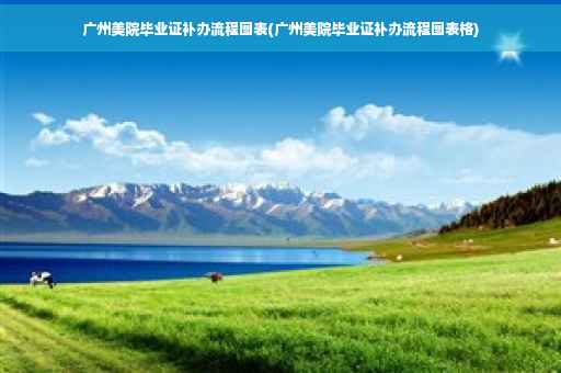 广州美院毕业证补办流程图表(广州美院毕业证补办流程图表格)