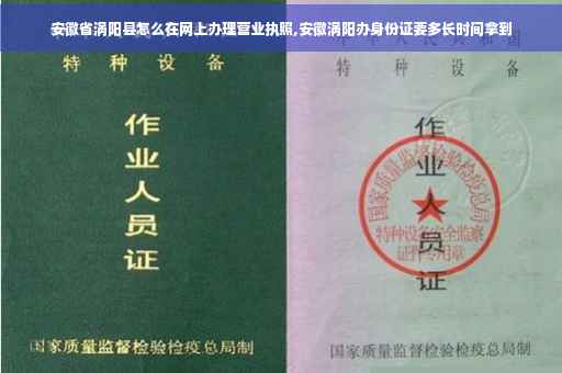 安徽省涡阳县怎么在网上办理营业执照,安徽涡阳办身份证要多长时间拿到