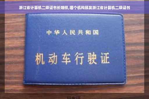 浙江省计算机二级证书长啥样,哪个机构颁发浙江省计算机二级证书