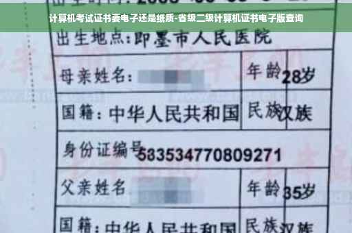 计算机考试证书要电子还是纸质-省级二级计算机证书电子版查询