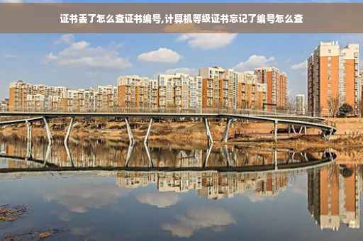 证书丢了怎么查证书编号,计算机等级证书忘记了编号怎么查 证书丢了怎么查证书编号,计算机等级证书忘记了编号怎么查
