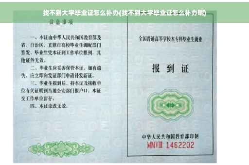 找不到大学毕业证怎么补办(找不到大学毕业证怎么补办呢)
