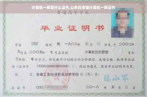计算机一级是什么证书,公务员审查计算机一级证书