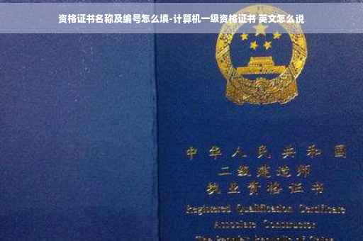 资格证书名称及编号怎么填-计算机一级资格证书 英文怎么说