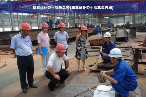 毕业证补办手续怎么办(毕业证补办手续怎么办理)