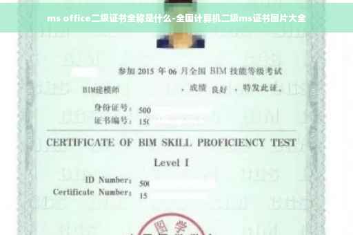 ms office二级证书全称是什么-全国计算机二级ms证书图片大全