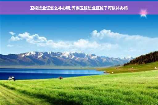 卫校毕业证怎么补办呢,河南卫校毕业证掉了可以补办吗