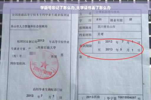 学籍号忘记了怎么办,大学证书丢了怎么办