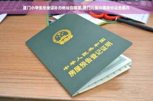 厦门小学生毕业证补办地址在哪里,厦门儿童办理身份证去哪办