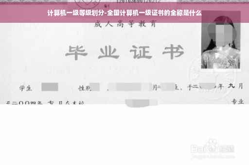 计算机一级等级划分-全国计算机一级证书的全称是什么 计算机一级等级划分-全国计算机一级证书的全称是什么
