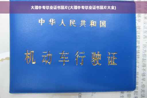 大理中专毕业证书图片(大理中专毕业证书图片大全)