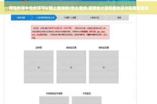现在的高中毕业证可以网上查询吗?怎么查询,湖南省计算机模块证书在哪里查询