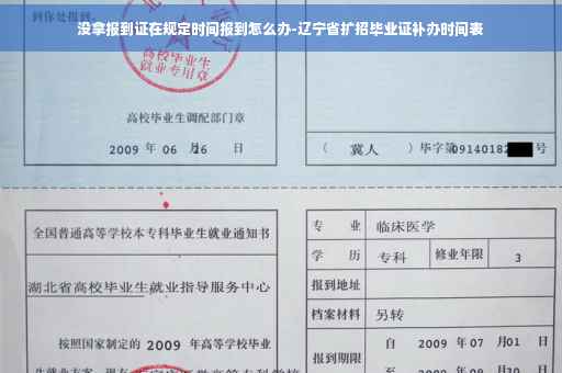 没拿报到证在规定时间报到怎么办-辽宁省扩招毕业证补办时间表
