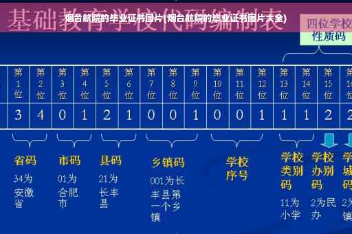 烟台航院的毕业证书图片(烟台航院的毕业证书图片大全)