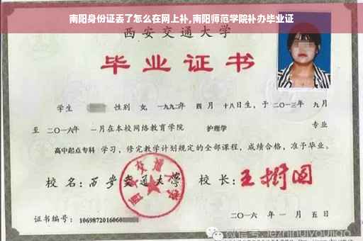 南阳身份证丢了怎么在网上补,南阳师范学院补办毕业证
