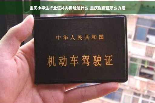 重庆小学生毕业证补办网址是什么,重庆慢病证怎么办理
