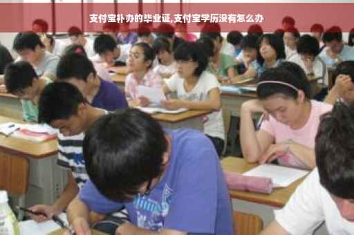 支付宝补办的毕业证,支付宝学历没有怎么办